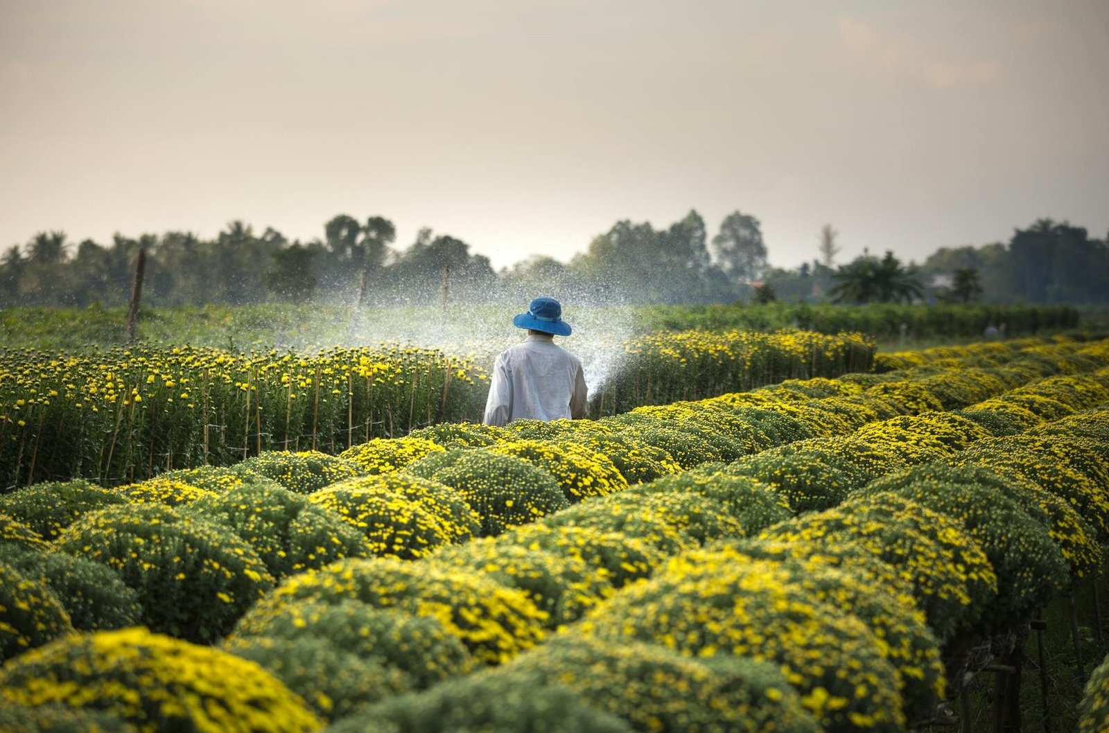 Semer l’innovation, récolter la transformation