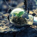 Fuelling progress with sustainable solutions